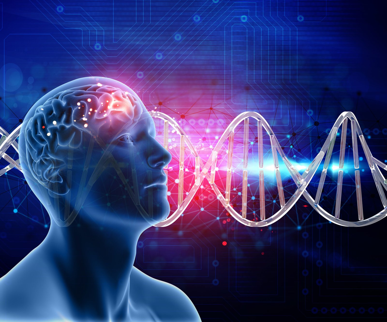 El rol del cortisol en la ansiedad: qué necesitas saber